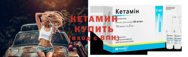 крисы Горняк
