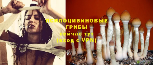 эйфоретик Горнозаводск