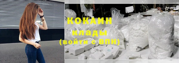 крисы Горняк