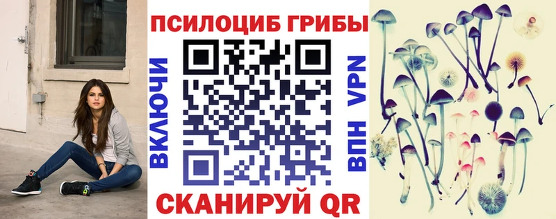 Купить где  Холм  Галлюциногенные грибы прущие грибы 